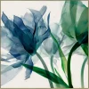 Wall Art | Star Fumiture Aaliyah I Floral Wall Art