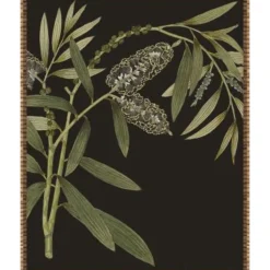 Wall Art | Star Fumiture Botanique I