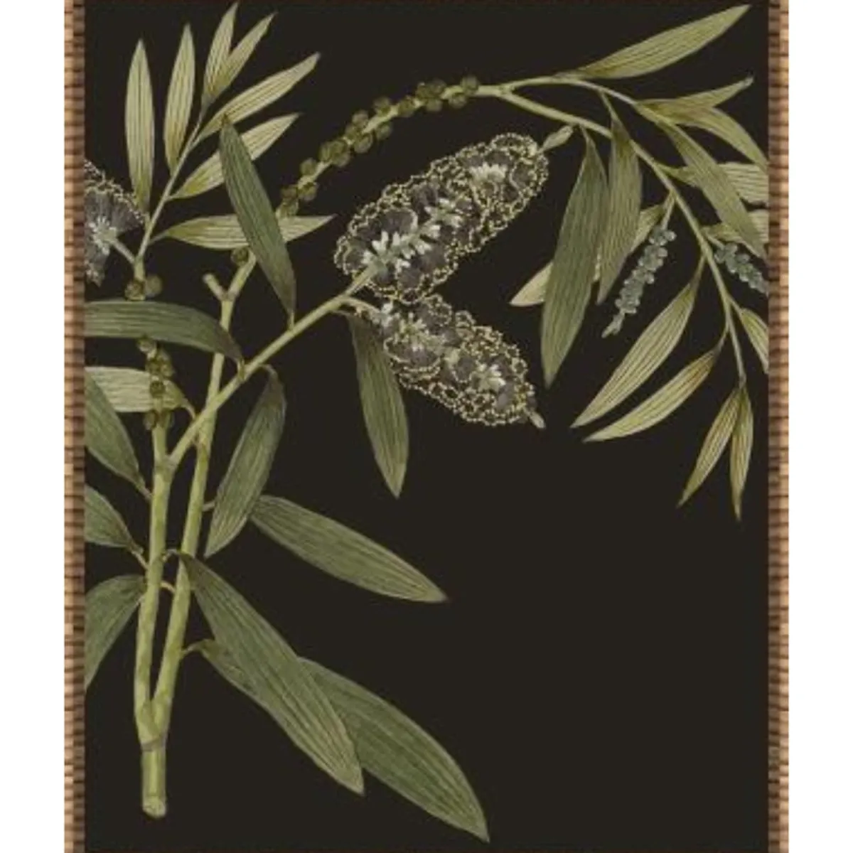Wall Art | Star Fumiture Botanique I