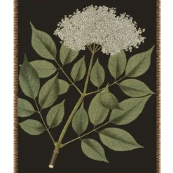 Wall Art | Star Fumiture Botanique II