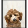 Wall Art | Star Fumiture Dixie the Golden Doodle Wall Art