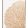 Wall Art | Star Fumiture Gilden Coral I Wall Art