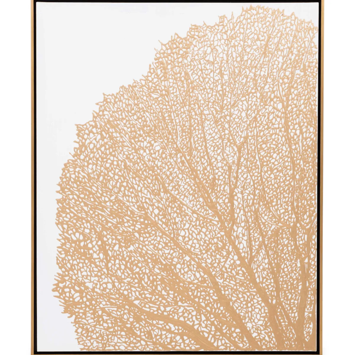 Wall Art | Star Fumiture Gilden Coral I Wall Art