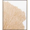 Wall Art | Star Fumiture Gilden Coral II Wall Art