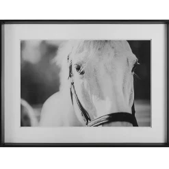 Wall Art | Star Fumiture Hold Your Horses I Wall Art