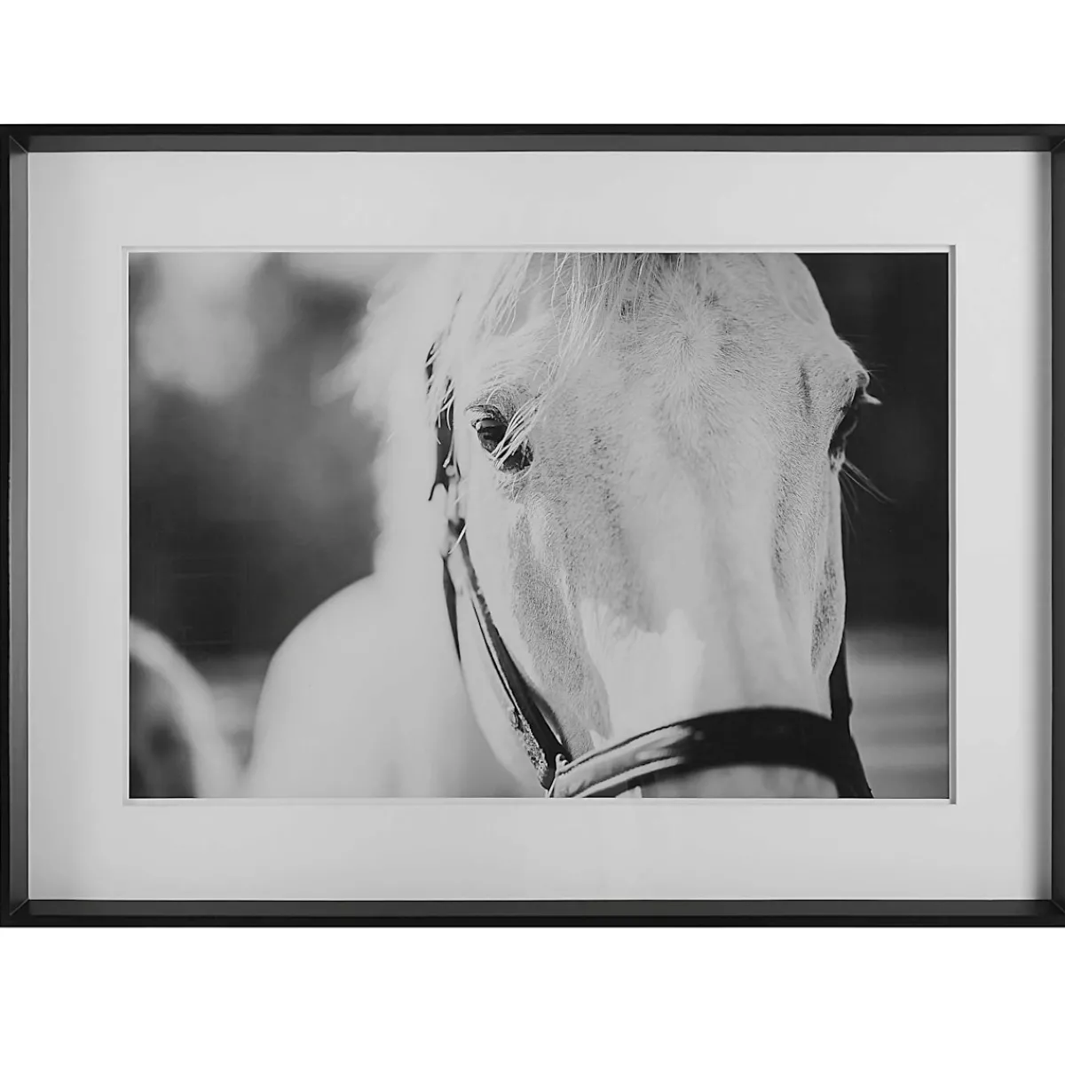 Wall Art | Star Fumiture Hold Your Horses I Wall Art