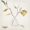 Wall Art | Star Fumiture Le Fruit I Wall Art