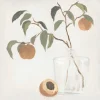 Wall Art | Star Fumiture Le Fruit II Wall Art