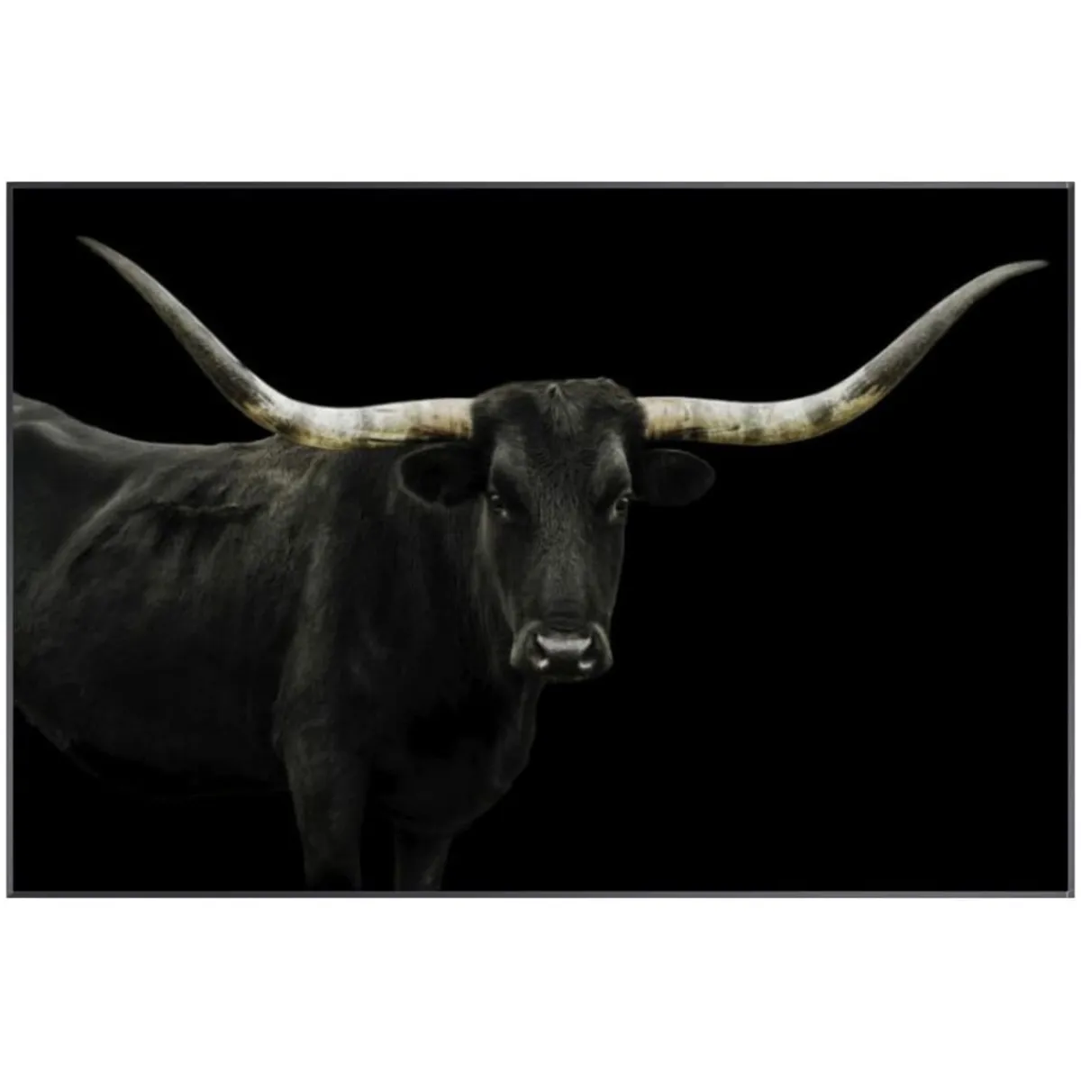 Wall Art | Star Fumiture Matador Wall Art