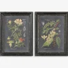 Wall Art | Star Fumiture Midnight Botanicals Prints Set of 2