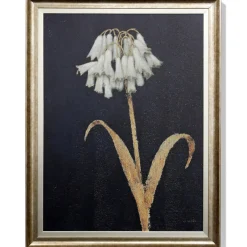 Wall Art | Star Fumiture Midnight Flora I Wall Art