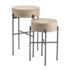 Accent Tables | Star Fumiture Nevis Accent Tables, Set of 2