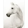 Wall Art | Star Fumiture Palomina Wall Art