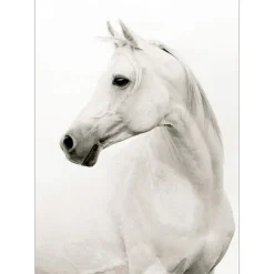 Wall Art | Star Fumiture Palomina Wall Art