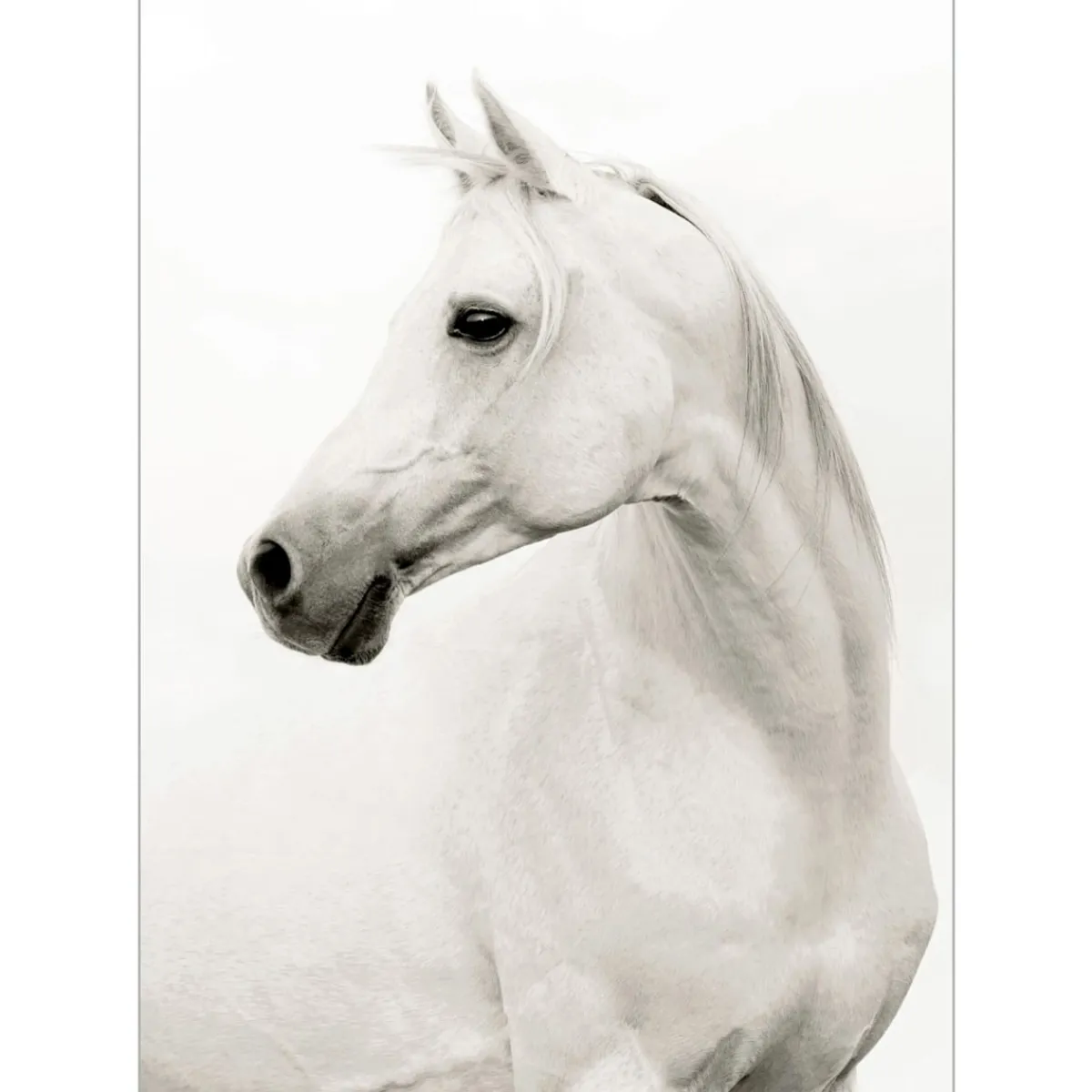 Wall Art | Star Fumiture Palomina Wall Art