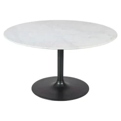 Dining Tables | Star Fumiture Rowan 54-Inch Round Marble Dining Table
