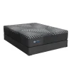 Mattress | Star Fumiture Sealy Albany Hybrid Medium Mattress