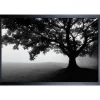 Wall Art | Star Fumiture Silent Morning