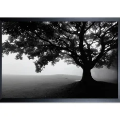 Wall Art | Star Fumiture Silent Morning
