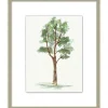 Wall Art | Star Fumiture Standing Sycamore I Wall Art
