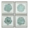 Wall Art | Star Fumiture Succulent Joy Framed Prints Set of 4