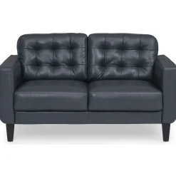 Loveseats | Star Fumiture Zane Leather Loveseat