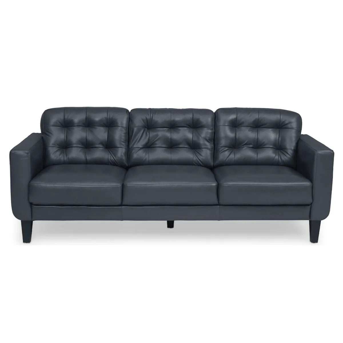 Sofas | Star Fumiture Zane Leather Sofa